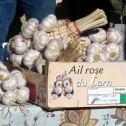 Ail rose de Lautrec en vente à Réalmont