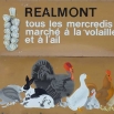 Réalmont "la charmante"